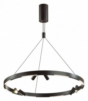 Подвесная люстра Odeon Light Beveren 6683/103L в Новом Уренгое - novyy-urengoy.mebel24.online | фото 2