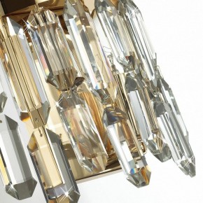 Подвесная люстра Odeon Light Dakisa 4986/12 в Новом Уренгое - novyy-urengoy.mebel24.online | фото 8