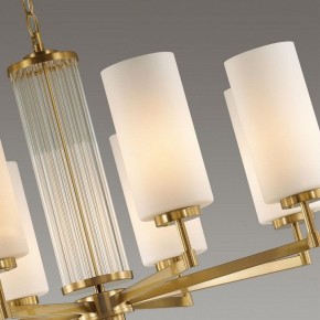Подвесная люстра Odeon Light Kasali 4990/8 в Новом Уренгое - novyy-urengoy.mebel24.online | фото 7