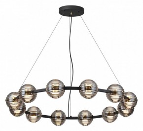 Подвесная люстра Odeon Light Troni 5041/120L в Новом Уренгое - novyy-urengoy.mebel24.online | фото 2