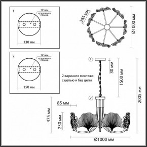 Подвесная люстра Odeon Light Ventaglio 4870/7 в Новом Уренгое - novyy-urengoy.mebel24.online | фото 6