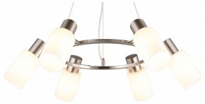 Подвесная люстра Omnilux Ales OML-69113-06 в Новом Уренгое - novyy-urengoy.mebel24.online | фото 2