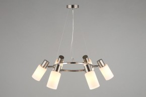 Подвесная люстра Omnilux Ales OML-69113-06 в Новом Уренгое - novyy-urengoy.mebel24.online | фото 6