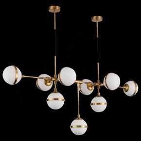 Подвесная люстра ST-Luce Arbe SL1157.303.09 в Новом Уренгое - novyy-urengoy.mebel24.online | фото 4