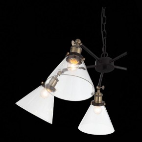 Подвесная люстра ST-Luce Evoluto SL237.413.05 в Новом Уренгое - novyy-urengoy.mebel24.online | фото 7