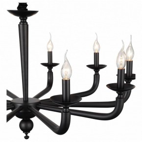 Подвесная люстра ST-Luce SL1114 SL1114.403.10 в Новом Уренгое - novyy-urengoy.mebel24.online | фото 4