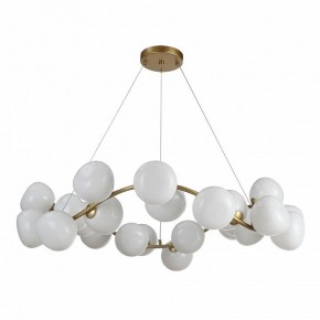 Подвесная люстра ST-Luce Sweven SL1519.303.24 в Новом Уренгое - novyy-urengoy.mebel24.online | фото 2