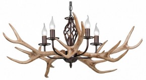 Подвесная люстра Vitaluce  V1491/5 в Новом Уренгое - novyy-urengoy.mebel24.online | фото