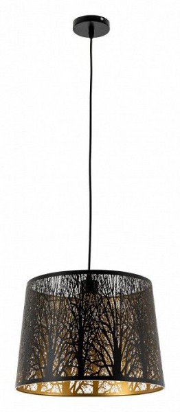 Подвесной светильник Arte Lamp Celesta A2769SP-1BK в Новом Уренгое - novyy-urengoy.mebel24.online | фото 2