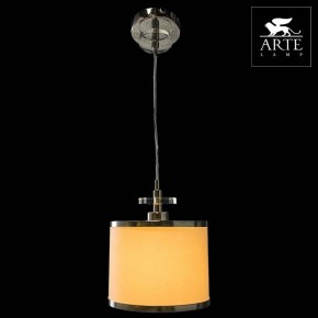 Подвесной светильник Arte Lamp Furore A3990SP-1CC в Новом Уренгое - novyy-urengoy.mebel24.online | фото 3