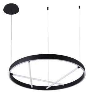 Подвесной светильник Arte Lamp Ricco A1874SP-45BK в Новом Уренгое - novyy-urengoy.mebel24.online | фото 2