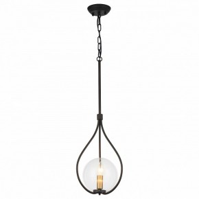 Подвесной светильник Favourite Kessel 1905-1P в Новом Уренгое - novyy-urengoy.mebel24.online | фото 2