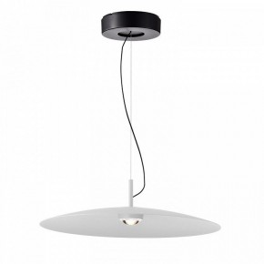 Подвесной светильник Favourite Lars 4410-1P в Новом Уренгое - novyy-urengoy.mebel24.online | фото 2