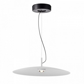 Подвесной светильник Favourite Lars 4410-2P в Новом Уренгое - novyy-urengoy.mebel24.online | фото 2