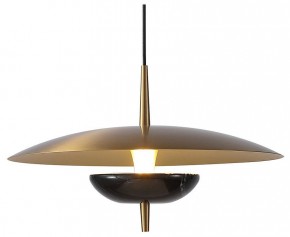 Подвесной светильник Favourite Marmo 4246-1P в Новом Уренгое - novyy-urengoy.mebel24.online | фото