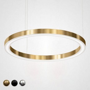 Подвесной светильник Imperiumloft Light Ring Horizontal 40.1454-100 в Новом Уренгое - novyy-urengoy.mebel24.online | фото