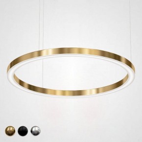 Подвесной светильник Imperiumloft Light Ring Horizontal 40.1454-120 в Новом Уренгое - novyy-urengoy.mebel24.online | фото