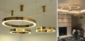 Подвесной светильник Imperiumloft Light Ring Horizontal 40.1454-80 в Новом Уренгое - novyy-urengoy.mebel24.online | фото 2
