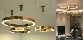 Подвесной светильник Imperiumloft Light Ring Horizontal 40.1454-80 в Новом Уренгое - novyy-urengoy.mebel24.online | фото 3
