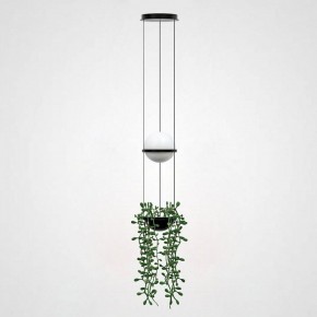 Подвесной светильник Imperiumloft Palma Wall Lamp 22.93727 в Новом Уренгое - novyy-urengoy.mebel24.online | фото