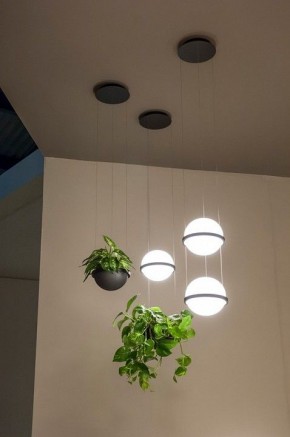 Подвесной светильник Imperiumloft Palma Wall Lamp 22.93727 в Новом Уренгое - novyy-urengoy.mebel24.online | фото 6