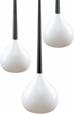 Подвесной светильник Lightstar Forma 808230 в Новом Уренгое - novyy-urengoy.mebel24.online | фото 3