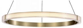 Подвесной светильник Lightstar Rotonda 736261 в Новом Уренгое - novyy-urengoy.mebel24.online | фото