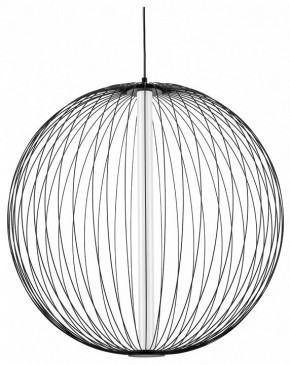Подвесной светильник Lightstar Sole 734067 в Новом Уренгое - novyy-urengoy.mebel24.online | фото