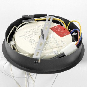 Подвесной светильник Lussole Hale LSP-7380 в Новом Уренгое - novyy-urengoy.mebel24.online | фото 6