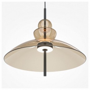 Подвесной светильник Maytoni Bangkok MOD185PL-L12CG3K3 в Новом Уренгое - novyy-urengoy.mebel24.online | фото 5
