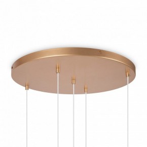Подвесной светильник Maytoni Basic form MOD521PL-05G в Новом Уренгое - novyy-urengoy.mebel24.online | фото 6