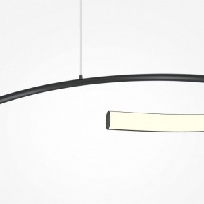 Подвесной светильник Maytoni Curve MOD242PL-L33BK в Новом Уренгое - novyy-urengoy.mebel24.online | фото 4