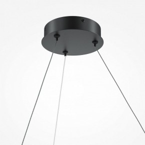Подвесной светильник Maytoni Curve MOD242PL-L33BK в Новом Уренгое - novyy-urengoy.mebel24.online | фото 5