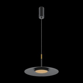 Подвесной светильник Maytoni Halo MOD041PL-L15B3K1 в Новом Уренгое - novyy-urengoy.mebel24.online | фото 4