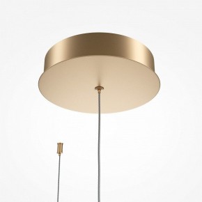 Подвесной светильник Maytoni Halo MOD283PL-L34BS3K в Новом Уренгое - novyy-urengoy.mebel24.online | фото 5