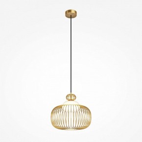 Подвесной светильник Maytoni Levitation MOD376PL-01G в Новом Уренгое - novyy-urengoy.mebel24.online | фото 2