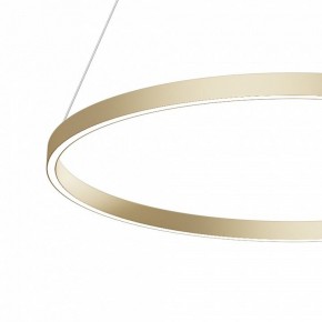 Подвесной светильник Maytoni Rim MOD058PL-L42BSK в Новом Уренгое - novyy-urengoy.mebel24.online | фото 4