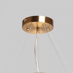 Подвесной светильник MW-Light Илоника 10 451013006 в Новом Уренгое - novyy-urengoy.mebel24.online | фото 10