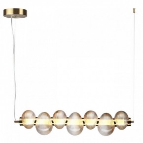 Подвесной светильник Odeon Light Bruco 5095/24L в Новом Уренгое - novyy-urengoy.mebel24.online | фото 2