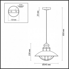 Подвесной светильник Odeon Light Dante 4164/1 в Новом Уренгое - novyy-urengoy.mebel24.online | фото 3