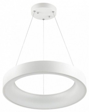 Подвесной светильник Odeon Light Sole 4066/50L в Новом Уренгое - novyy-urengoy.mebel24.online | фото 2