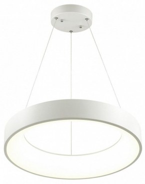 Подвесной светильник Odeon Light Sole 4066/50L в Новом Уренгое - novyy-urengoy.mebel24.online | фото 3