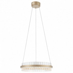Подвесной светильник ST-Luce Cherio SL383.203.01 в Новом Уренгое - novyy-urengoy.mebel24.online | фото 3