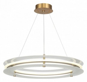 Подвесной светильник ST-Luce FAGY SL6245.203.01 в Новом Уренгое - novyy-urengoy.mebel24.online | фото 2