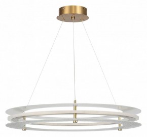 Подвесной светильник ST-Luce FAGY SL6245.203.01 в Новом Уренгое - novyy-urengoy.mebel24.online | фото 3
