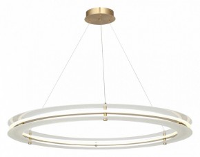 Подвесной светильник ST-Luce FAGY SL6245.213.01 в Новом Уренгое - novyy-urengoy.mebel24.online | фото 4