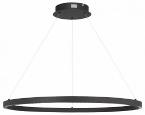 Подвесной светильник ST-Luce PARILLA SL6238.443.01 в Новом Уренгое - novyy-urengoy.mebel24.online | фото 3