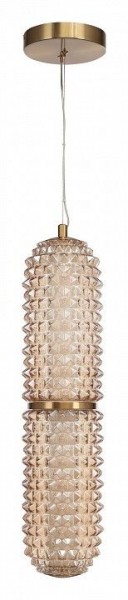 Подвесной светильник ST-Luce SAGUARO SL6144.303.01 в Новом Уренгое - novyy-urengoy.mebel24.online | фото 3