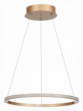 Подвесной светильник ST-Luce ST604 OUT ST604.243.22 в Новом Уренгое - novyy-urengoy.mebel24.online | фото 2