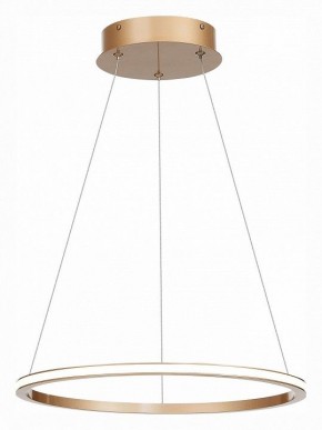 Подвесной светильник ST-Luce ST604 OUT ST604.243.22 в Новом Уренгое - novyy-urengoy.mebel24.online | фото 3